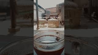 Download lagu Story WA ayam Bangkok  #ayambangkok #storywa #storywa30detik mp3