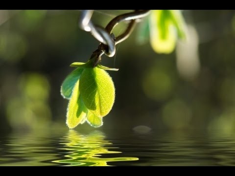 3 hour Relaxation Music | Relaxing Music | New Age Music; Yoga Music,  Spa Music, healing music 🌅336