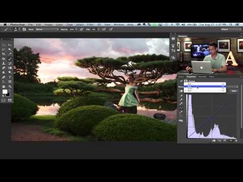 How to Set Up and Use a Wacom Tablet