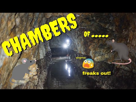 #279 Chambers Mine, piles  of Rats and Silver!