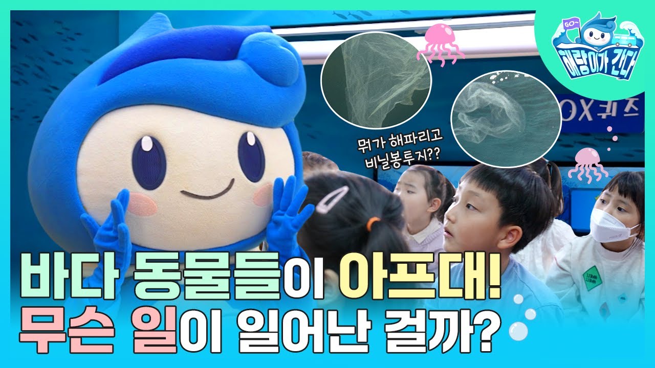 아프지 말고 건강하길! 귀여운 바다 동물들을 지켜봐요