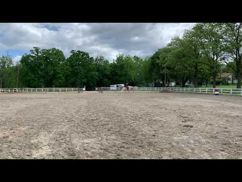 Cloverleaf Saddle Club Virtual Show#21  Ranch Pattern w/t/l  Beyond Macho Jahnel Warner