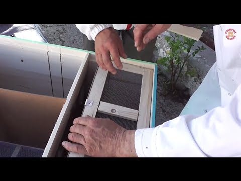 Discutie utila despre performantele Bio Stupului - Proful Online si Viorel - Apicultura incepatori