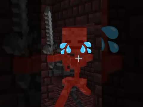 ULTIMATE MINECRAFT INSANITY: Nether Fortress Spawn!