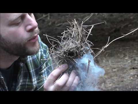 Camp out with Muddy Paws!