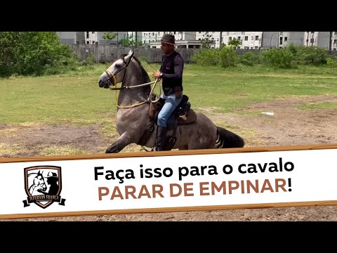 Cavalo Não Fica Parado e Empina