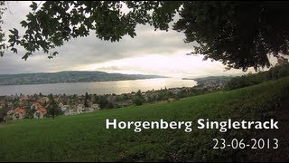 preview picture of video 'Horgenberg MTB Singletrack'