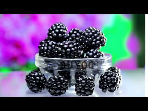 Suyog iqf blackberry frozen fruit, packaging size: 1 kg, pac...