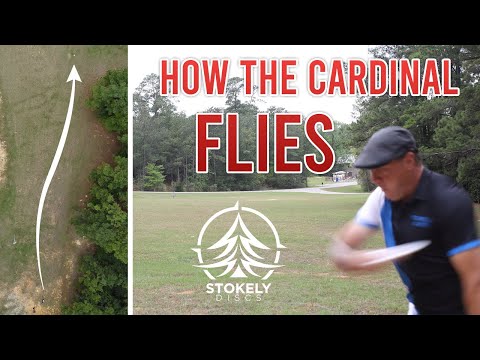 What the Cardinal Golf Disc from Stokely Discs is Best for ...