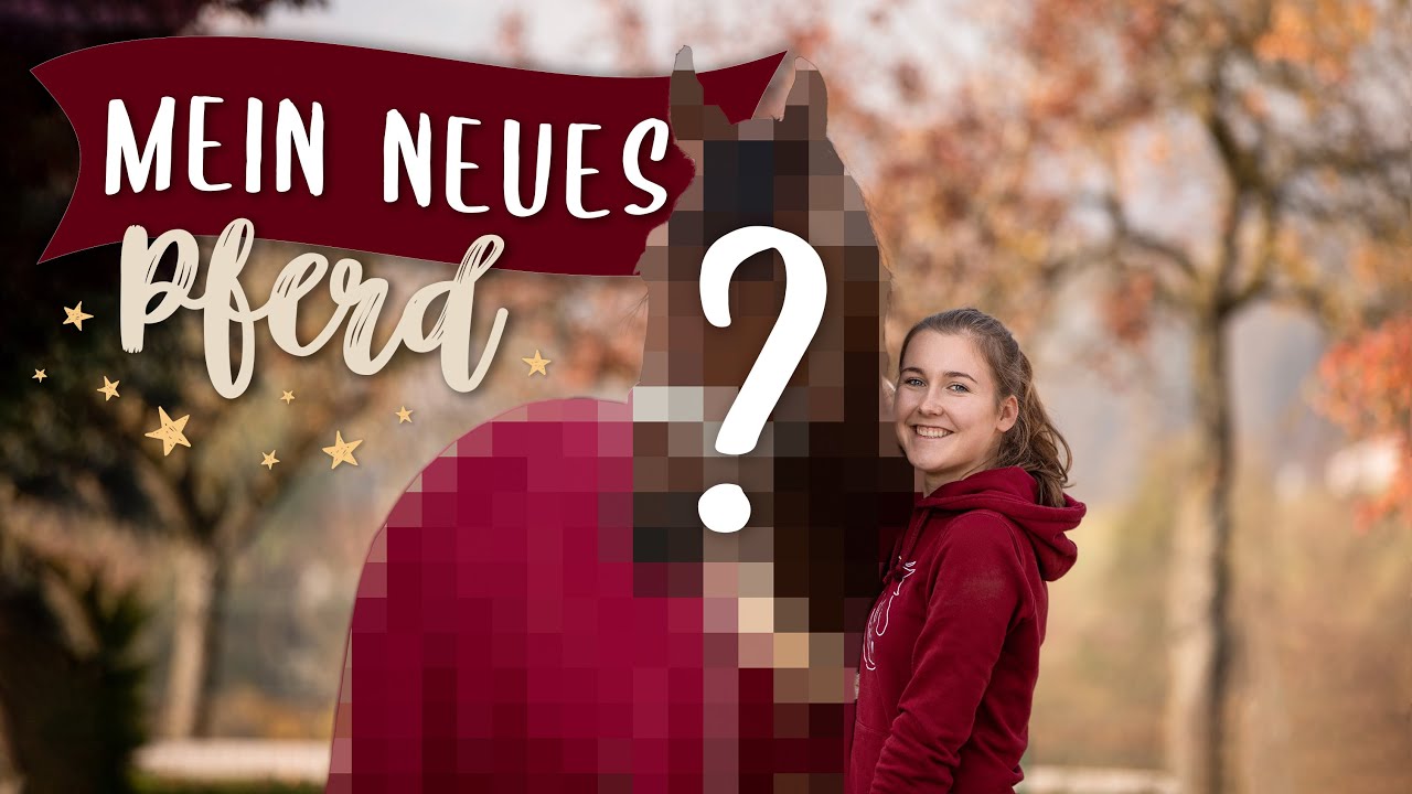 BIG NEWS 🤩 Ich muss euch jemanden vorstellen | PILSALI