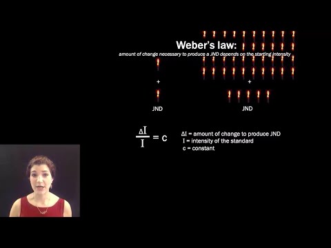 [Psyc220] 04 Signal Detection Theory