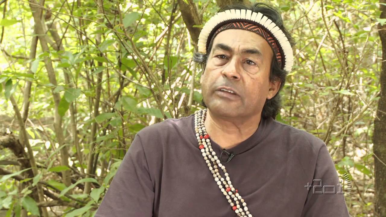 20 ideias para girar o mundo -- Ailton Krenak