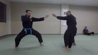 Exploring Hosetsu no kata