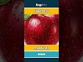 ripeness - madurez video thumbnail