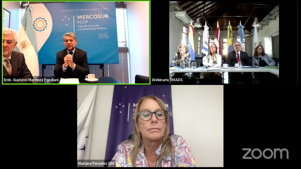 Webinario “Sistemas de Protección Social de las Personas Mayores en el MERCOSUR”.