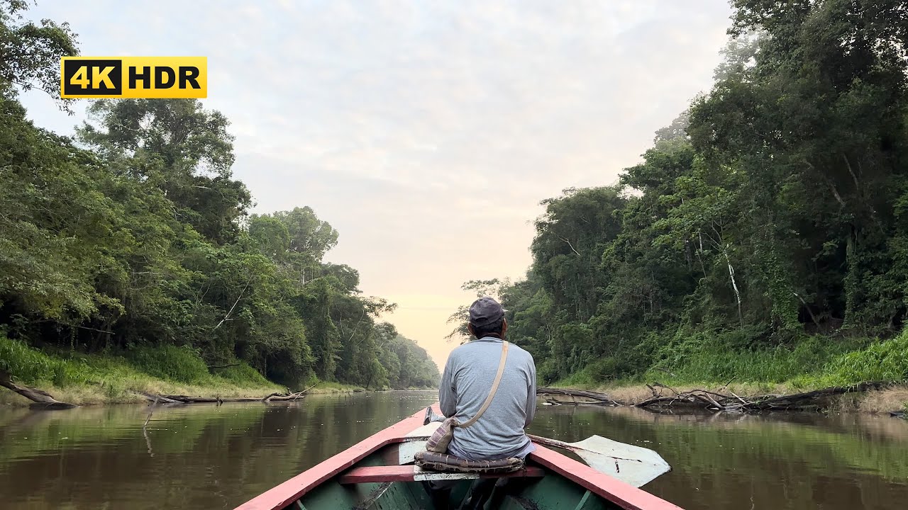 Tropical Boat Amazon River 4K HDR