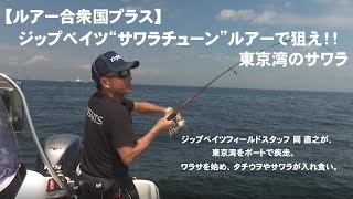 【ルアー合衆国プラス】ジップベイツ“サワラチューン”ルアーで狙え!!東京湾のサワラ
