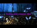 Pulp - Anorexic Beauty (Lyrics)