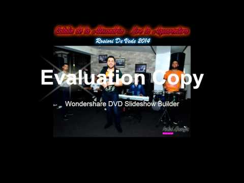 Catalin de la Alexandria - Alo . Alo , Ce Faci Iubita Mea