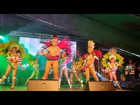 Vai Quem Quer - Samba Enredo 2023 @Festival Samba Estarreja 2023 4K