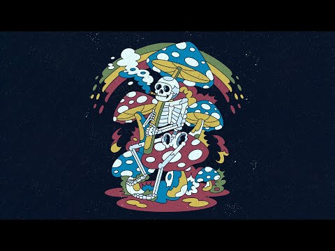 Ship Wrek & Disco Lines - Where Do I Belong?