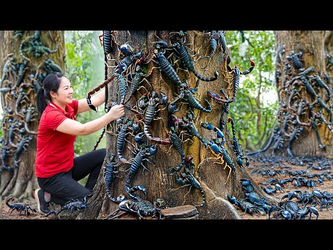 Harvesting Giant Primitive Scorpion & Go to Market Sell | Real Rescue Scorpion from Honeycomb