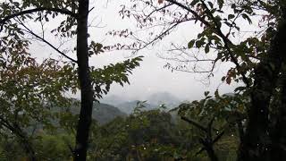 Download lagu I Don't Want To Do This Without You　2:17　Late Night Feeler mp3