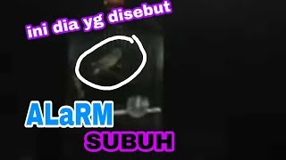 Download lagu ALARM SUBUH BURUNG TRUCUK UDAH ROPEL GACOR mp3 Download lagu ALARM SUBUH BURUNG TRUCUK UDAH ROPEL GACOR mp3