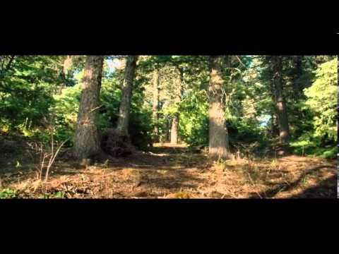 Devil's Knot (2014) - HD Trailer #1