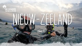 Nieuw-Zeeland, Deel 4 | De laatste wereldreis week, zwemmen met dolfijnen en komen wij wel thuis?