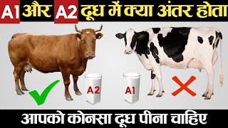 A1 और A2 दूध में क्या अंतर होता है? आपको कोनसा पीना चाहिए?