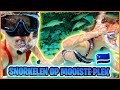 SNORKELEN TUSSEN ViSSEN OP MOOiSTE STRAND VAN CURACAO! ( Cas Abao Beach) ? | Bellinga Vlog #3056