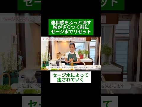 医療ビジネス薬科学科 🌿違和感をふっと流す 喉がざらつく前にセージ水でリセット🌿#shorts #ハーブ #体質改善 #セージ