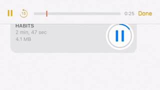 Habits- Payton Moormeier