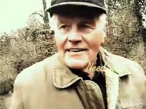 Streit der Organe :) funny