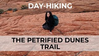preview picture of video 'DAY-HIKING - The Beautiful Petrified Dunes Trail'
