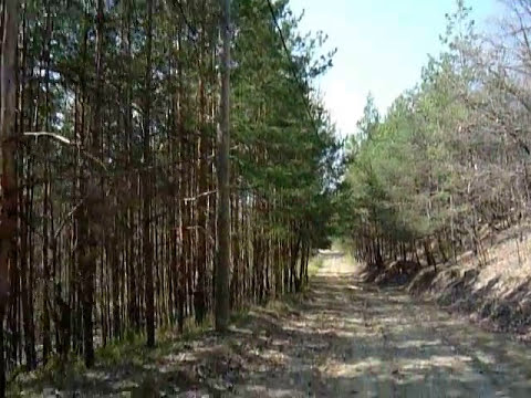 ROMANIA - meleaguri de vis &"Din Dealul Varatec spre satul Bacesti "!(Stejari - Gorj)