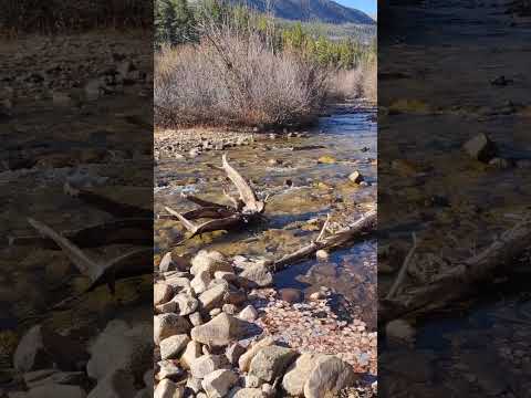 Cottonwood Creek
