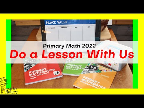 PRIMARY MATH 2022 || DO A LESSON WITH US || SECOND GRADE HOMESCHOOL MATH