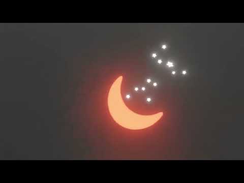 I Pet goat 3  _ Quick analysis