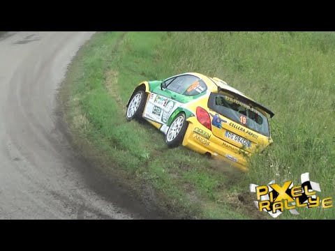 Rally di Alba 2016 [HD] Show & Mistakes