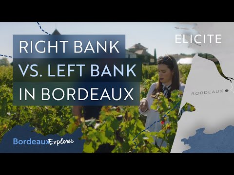 The Basics Of The Bordeaux Wine Region