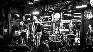 Hot Pistol Shrimp - Stiff