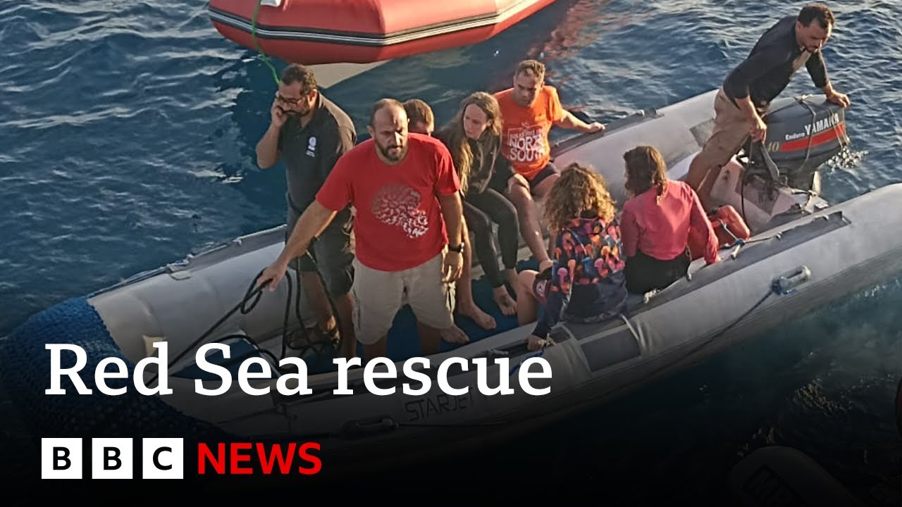 Five survivors found after Red Sea tourist boat sinks | BBC News