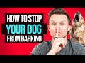 How To Stop Your Dog From Barking Forever
