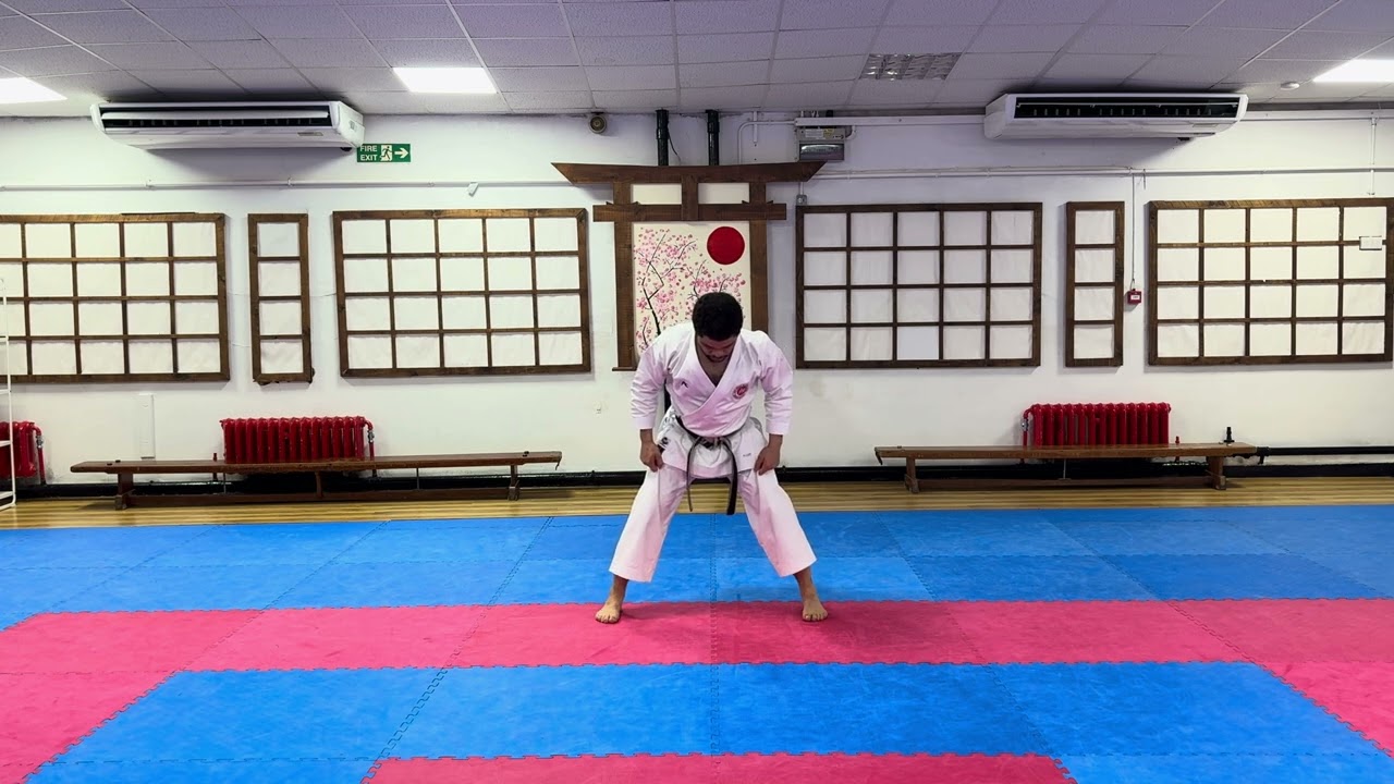 Kiba Dachi Tetsui Uchi