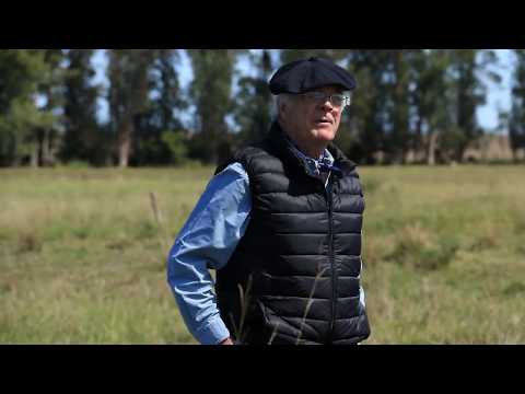 Establecimiento "La Bellaca", Paraje "La Escobilla", Florida.