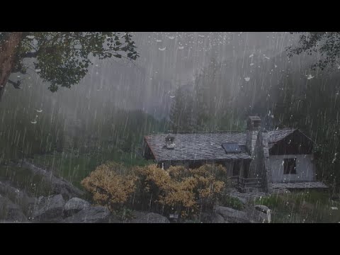 Try Listening for 11 Minutes and Sleep Immediately with Rain Sounds on the Roof in Foggy Forest