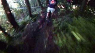 preview picture of video 'The Redwoods Loop MTB Track, Dunedin'