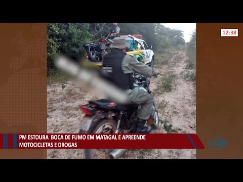 PM estoura boca de fumo em matagal e apreende motocicletas e drogas em Cocal 14 07 2021